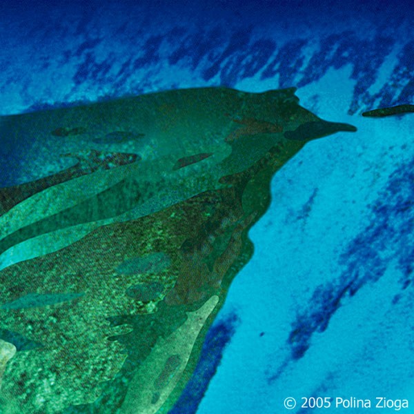 http://polina-zioga.com/files/gimgs/th-62_62_fromabove.jpg