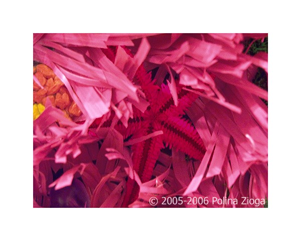 http://polina-zioga.com/files/gimgs/th-64_64_underthesurface-01.jpg