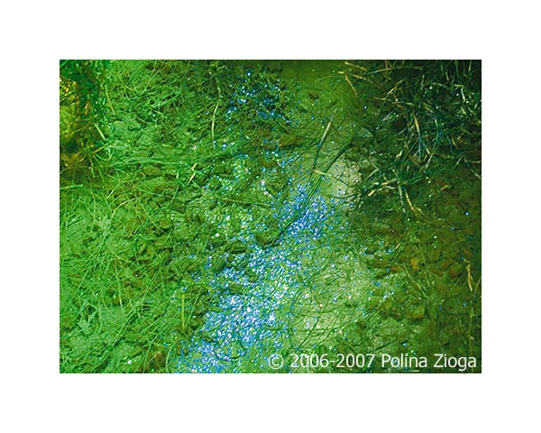 http://polina-zioga.com/files/gimgs/th-69_69_landscapeingreen-09.jpg