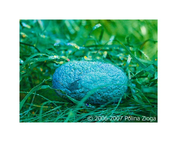 http://polina-zioga.com/files/gimgs/th-69_69_landscapeingreen-11.jpg