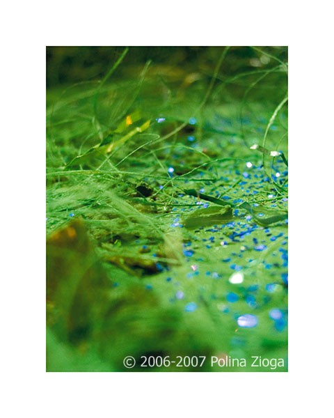 http://polina-zioga.com/files/gimgs/th-69_69_landscapeingreen-14.jpg