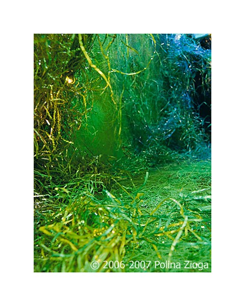 http://polina-zioga.com/files/gimgs/th-69_69_landscapeingreen-16.jpg