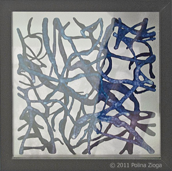 http://polina-zioga.com/files/gimgs/th-86_86_fragment18.jpg