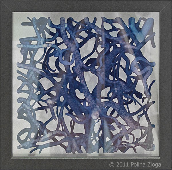 http://polina-zioga.com/files/gimgs/th-86_86_fragment21.jpg